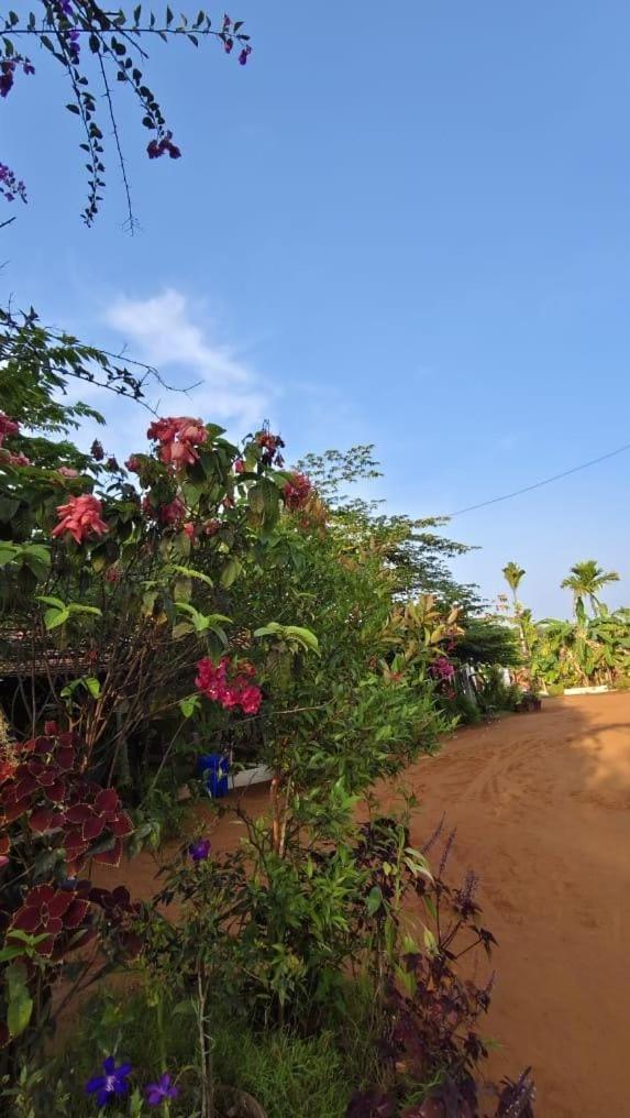 Niyati Home Stay Gokarna  Luaran gambar
