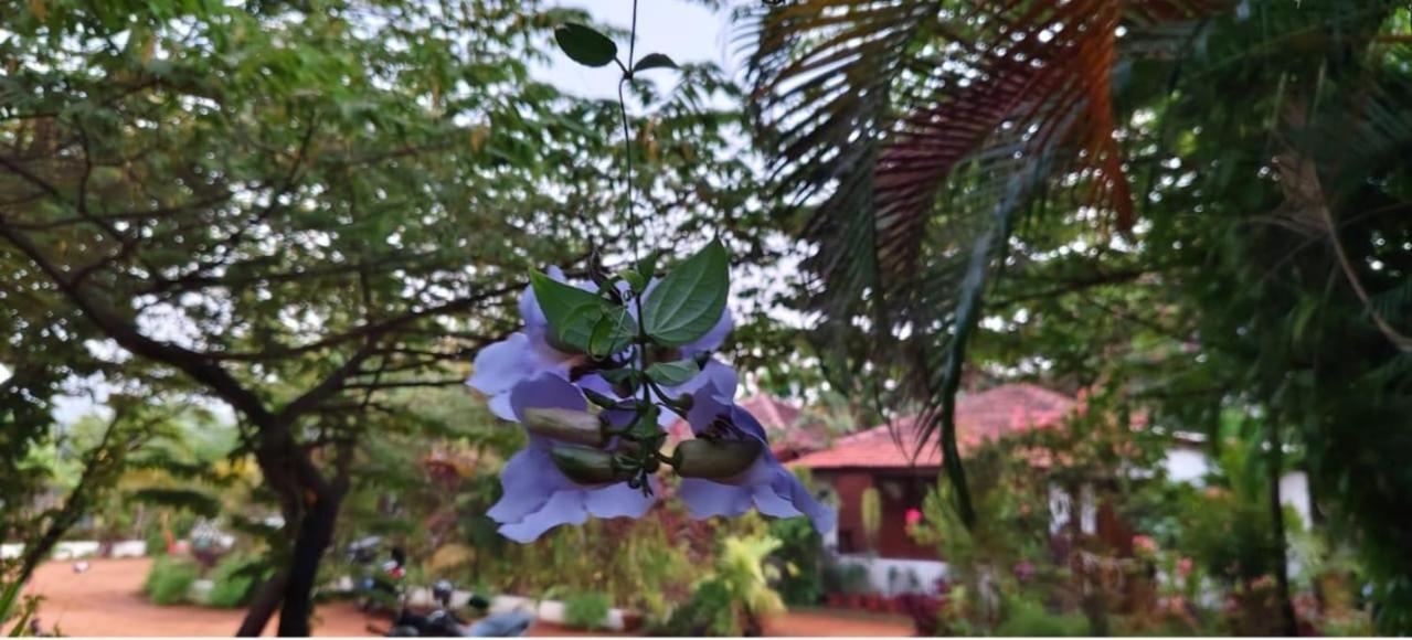 Niyati Home Stay Gokarna  Luaran gambar